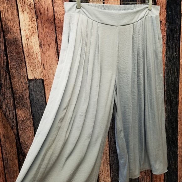 Vince Camuto Baby Blue Gaucho Pants - Picture 5 of 6